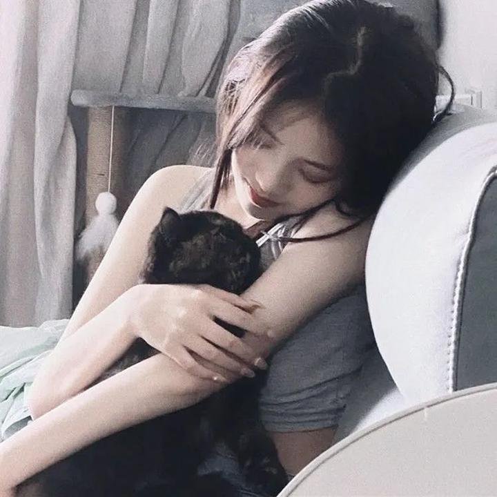 绿蝴蝶